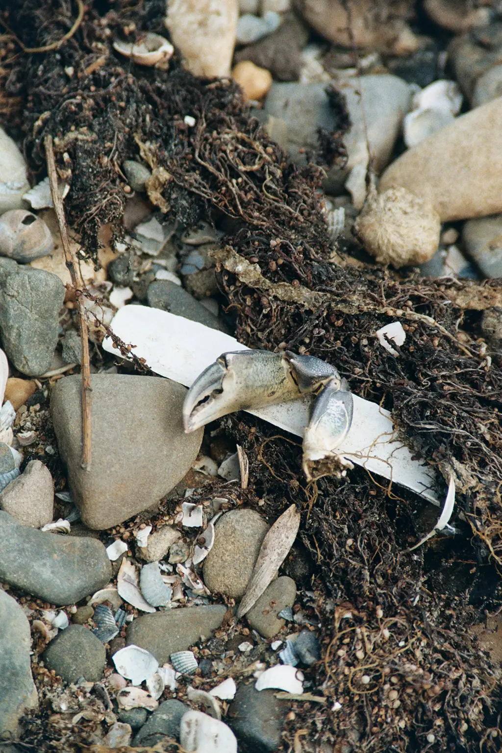 Description of photo 5